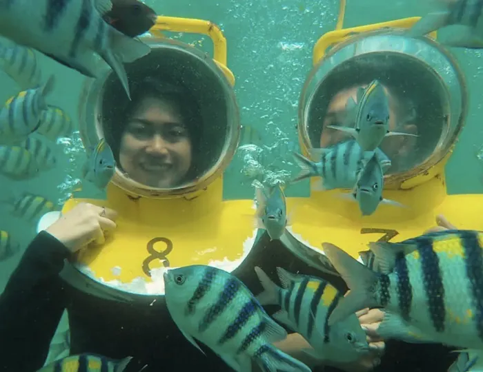 db33ddd6-c8fb-4b94-9b97-cee5412dc994_alt