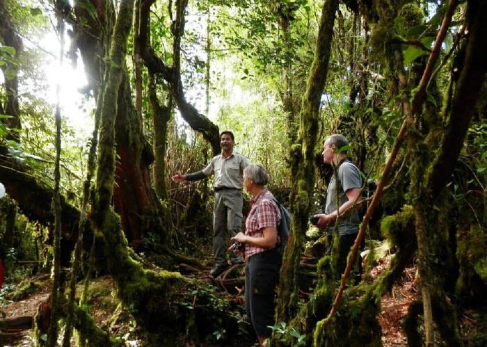 Cameron Highlands and Mossy Forest Half Day Tour - Main Image