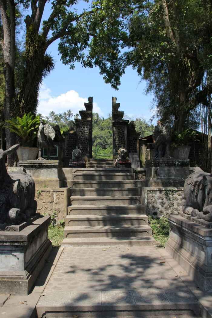 44a923b1-9d54-4a3b-894d-5f49c7f2ae49_alt