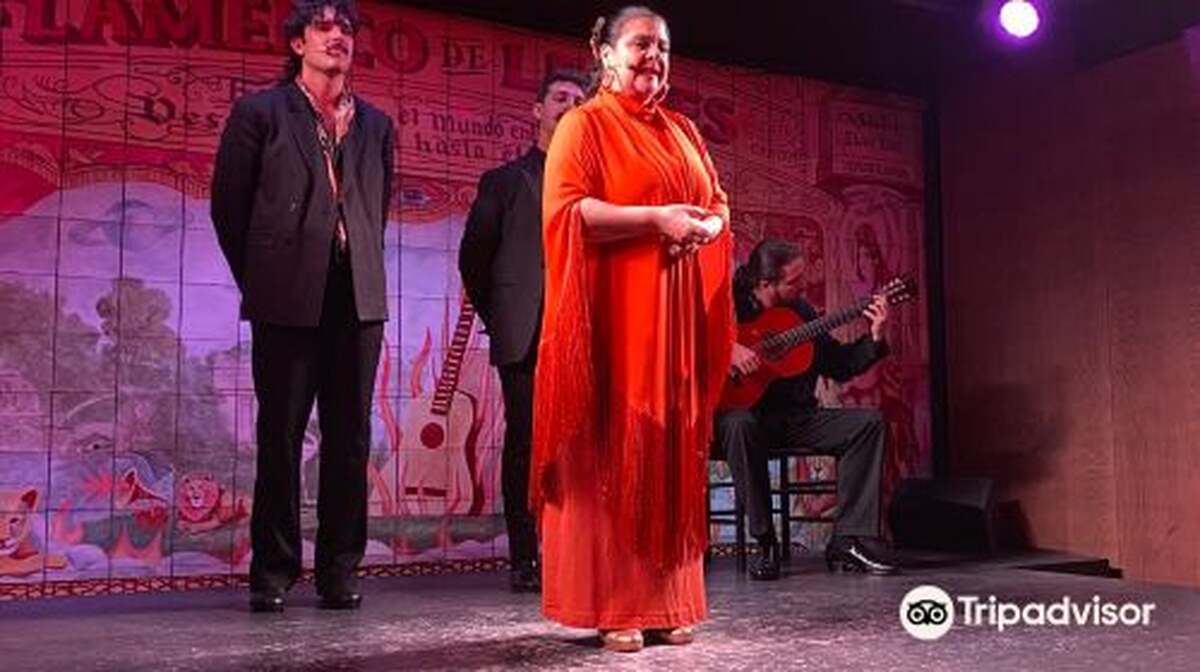Flamenco de Leones - Main Image