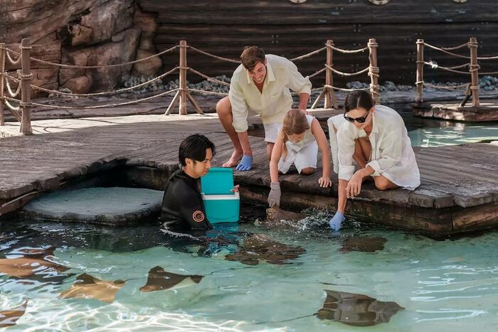 8a8bf8df-0463-4382-b361-ca1f8c3314fd_alt