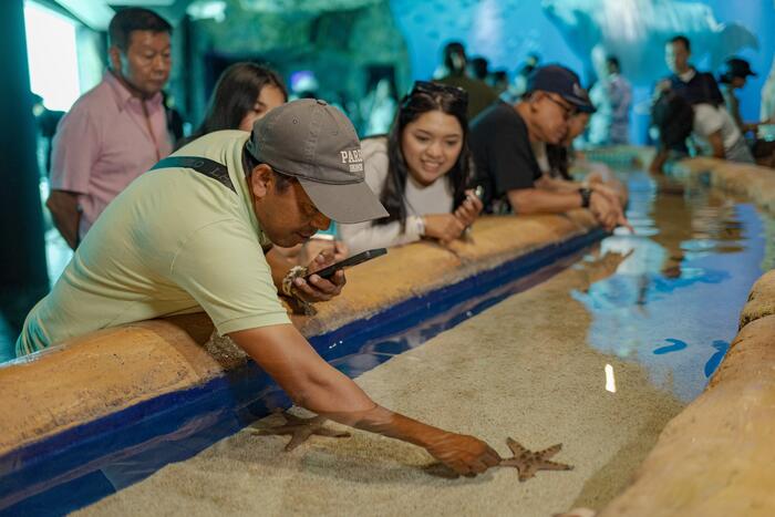 e0a5d005-2130-4d82-bd87-e8a19e256ad5_alt