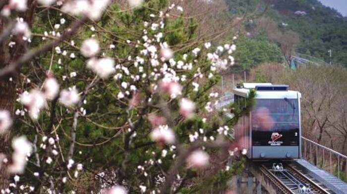 Skip-the-Line Private Day Tour of the Badaling Great Wall Day Tours - Main Image