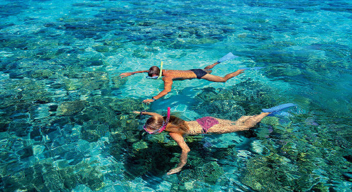 Whitsundays Scenic Premium Tour - Main Image