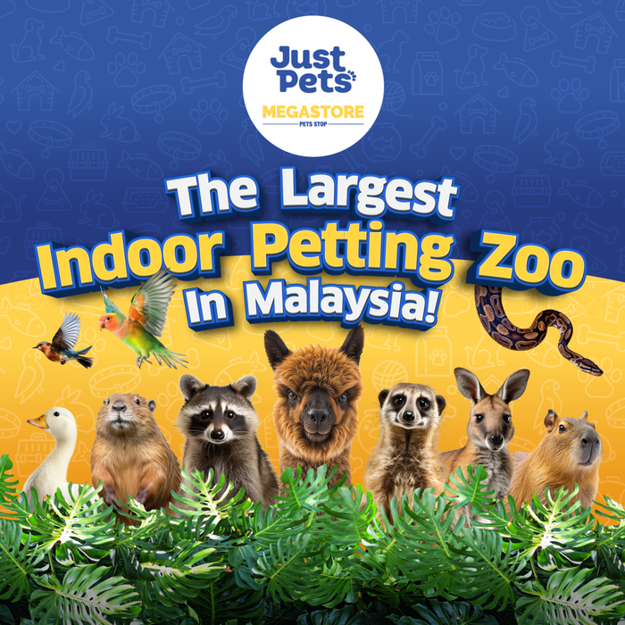 Just Farm Indoor Zoo Kuala Lumpur - Main Image