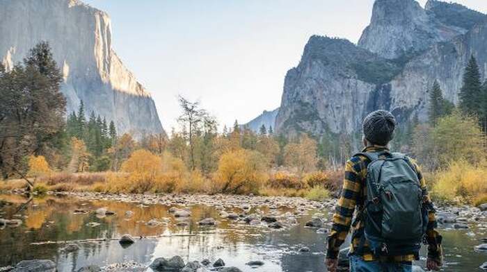 Yosemite National Park: Full Day Tour from San Francisco Day Tours