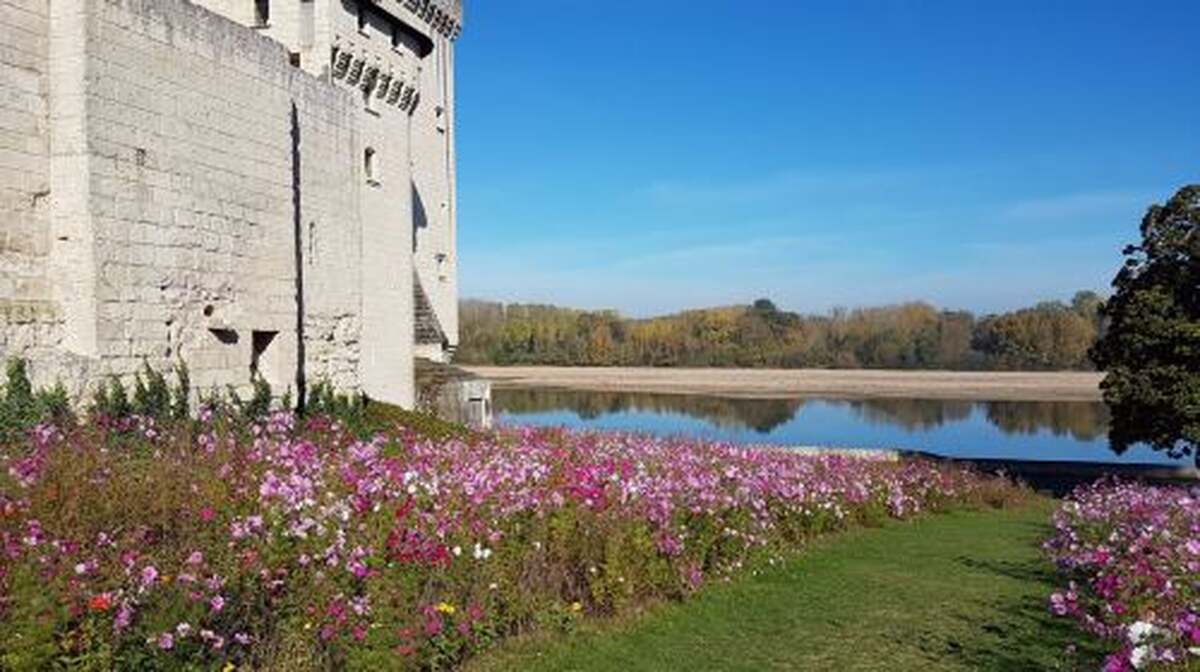 Château de Montsoreau-Museum of Contemporary Art - Main Image