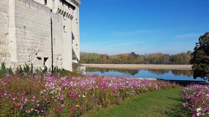 Château de Montsoreau-Museum of Contemporary Art - Main Image