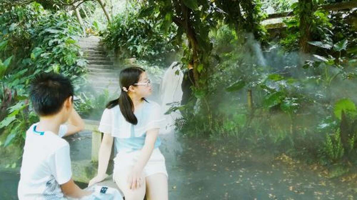 Gulangyu Island in Xiamen with Chinese and English tour guide explanation|Independent group customization|Word-of-mouth service|Select attractions for free travel|Buy ferry tickets on behalf of others - Main Image