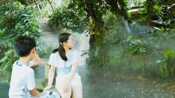 Gulangyu Island in Xiamen with Chinese and English tour guide explanation｜Independent group customization｜Word-of-mouth service｜Select attractions for free travel｜Buy ferry tickets on behalf of others