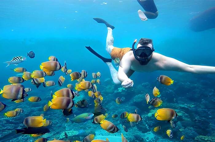 89423694-b8ee-428b-9b02-85cca1323149_alt