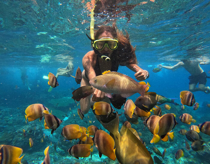 c1204a82-7605-406f-859d-1752a28c2d73_alt