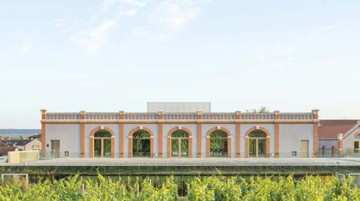 PRESSORIA – A Sensory Journey to the Heart of Champagne Youth - Main Image