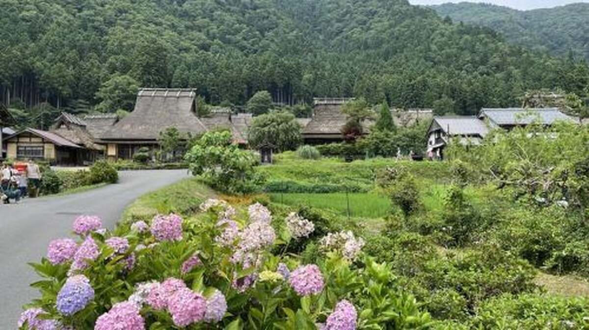 Kyoto Amanohashidate 1-Day Tour from Osaka with Lunch Day Tours - Main Image