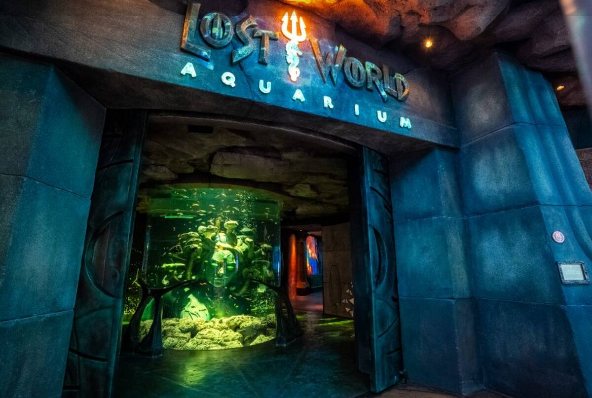 Lost World Aquarium - Main Image