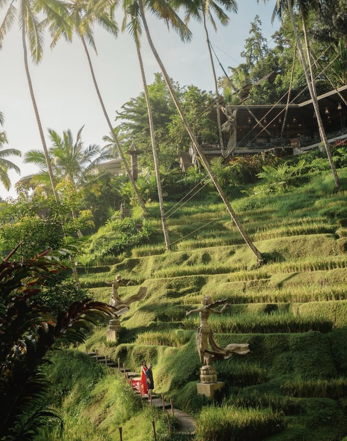 be7342a4-e373-4488-934e-fe0644cb9cdf_alt