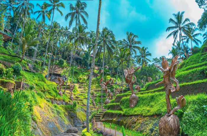 ef31ab49-ba5b-4b7c-9d11-c896f05d0671_alt