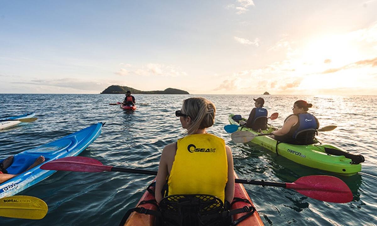 Kayak Turtle Tour - Half Day - Main Image