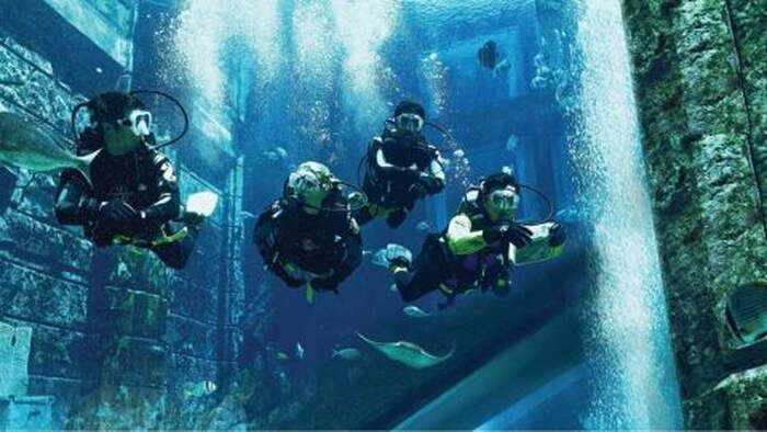 Atlantis Discover Scuba Dive - Main Image