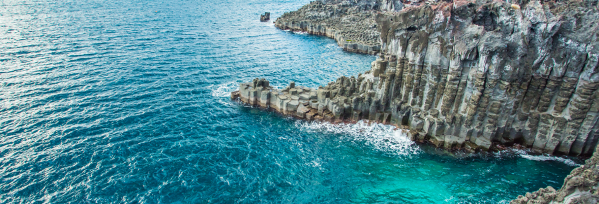 Southern Jeju One-Day Bus Tour: Mysterious Road, Hallasan & Jusangjeollidae (Lunch included) | Korea - Main Image