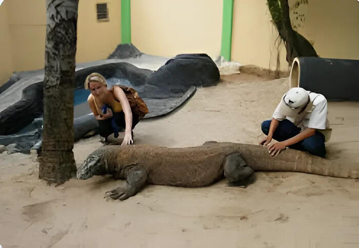 Bali Reptile Park
