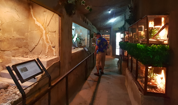 55eea762-4da1-4d1f-a5b9-4334aeb04456_alt