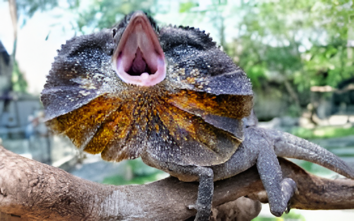 a42d6b1f-3837-4b26-8126-c689878616c2_alt