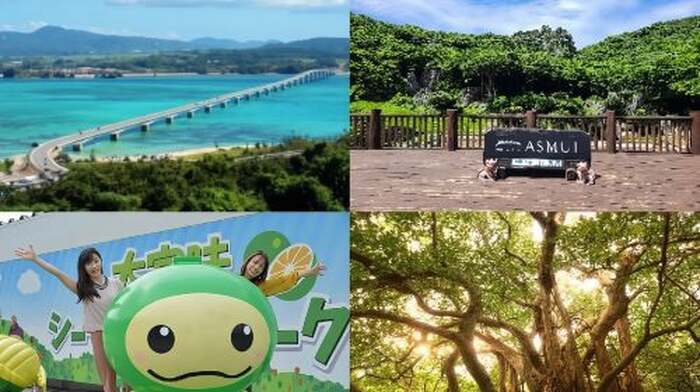 Okinawa Hip-Hop Bus C Course Tour to Northern Island Day Tours - Main Image